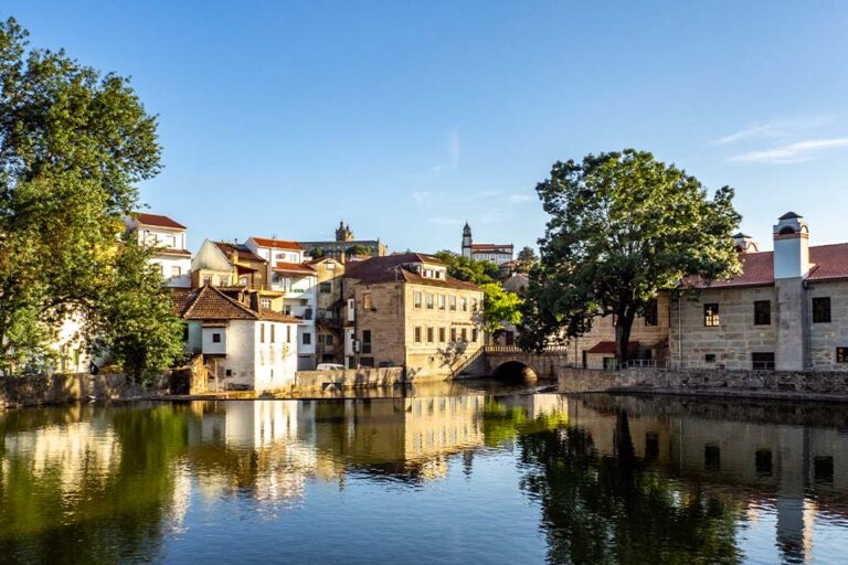 Como Escolher a Melhor Agência de Marketing Digital em Viseu para Fazer a Sua Empresa Crescer